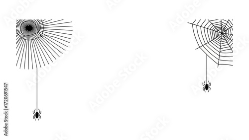 Web Weaver: A minimalistic representation of a spider delicately hanging from its web, showcasing the beauty of natural architecture and intricate design.
