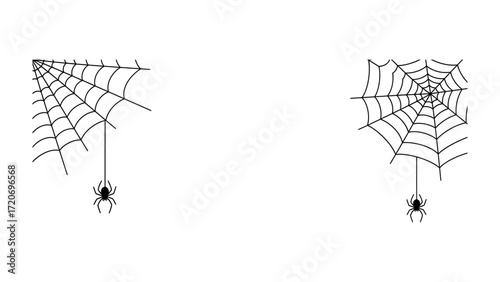 Spider web with spider decoration: A decorative spider web design, the spider web is suspended with a small spider illustration, perfect for seasonal or themed design elements.