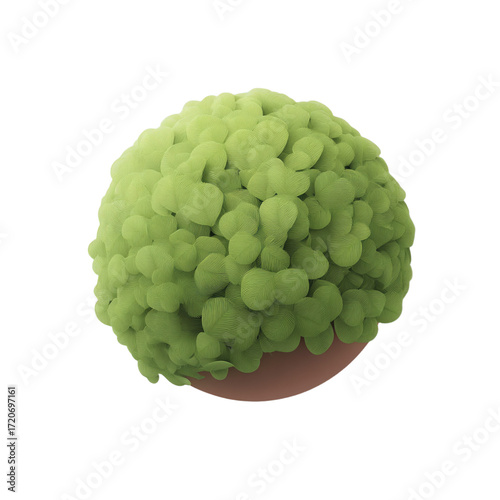 Textured green spherical plant with intricate leaf patterns in a simple brown pot