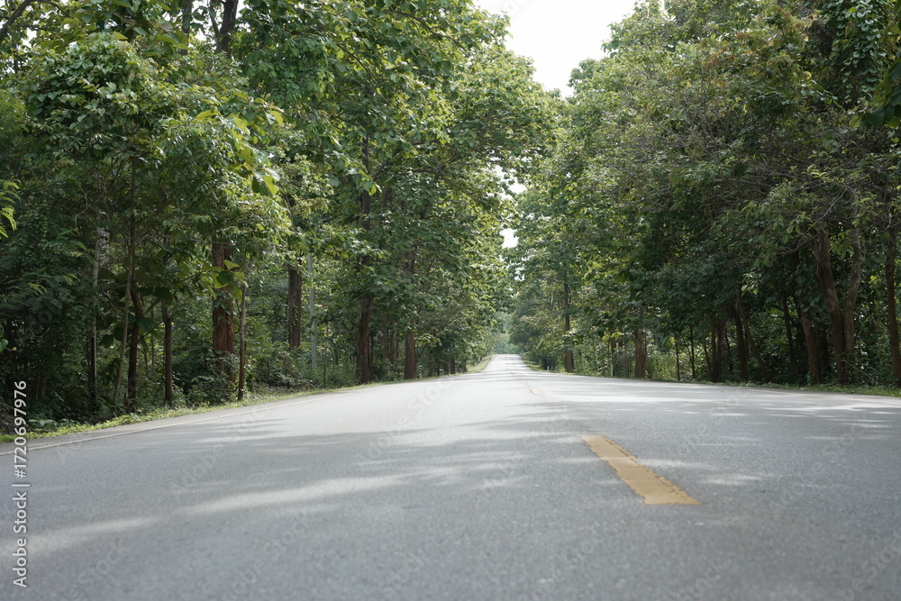 Obraz premium The road winds through a valley, surrounded by towering mountains. Trees line both sides, their green leaves gently swaying, creating a peaceful nature trail amidst stunning scenery.