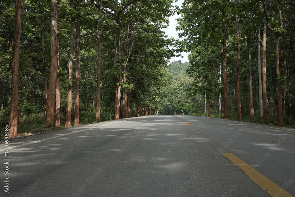 Obraz premium The road winds through a valley, surrounded by towering mountains. Trees line both sides, their green leaves gently swaying, creating a peaceful nature trail amidst stunning scenery.