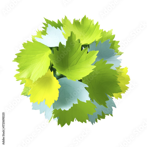 A Circular Arrangement Of Multiple Colorful Leaves Green Yellow And Light Blue On A Transparent Background
