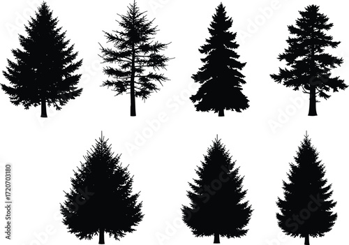 Collection of conifer tree silhouette illustrations including spruce, pine, fir, and cedar trees, ideal for forest and nature design.