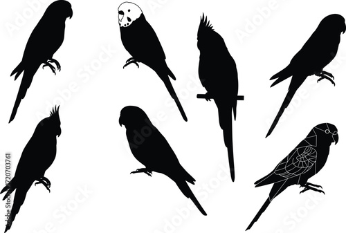 Collection of parrot and cockatiel bird silhouettes with outline drawings, vector illustrations for wildlife, pets, exotic animals, and decorative design.