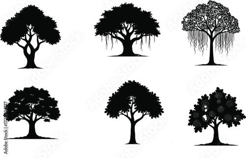 Set of beautiful tree silhouettes with detailed branches and leaves, natural forest vector illustration for design, decoration, nature and artwork
