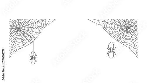 Spider Web: A pair of detailed, grey spiderwebs with spiders hanging from the webs. It's the perfect imagery for Halloween and horror themes. 