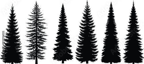 Silhouette collection of tall pine and fir trees, detailed evergreen conifer vector illustrations perfect for forests, mountains, Christmas, and nature designs.