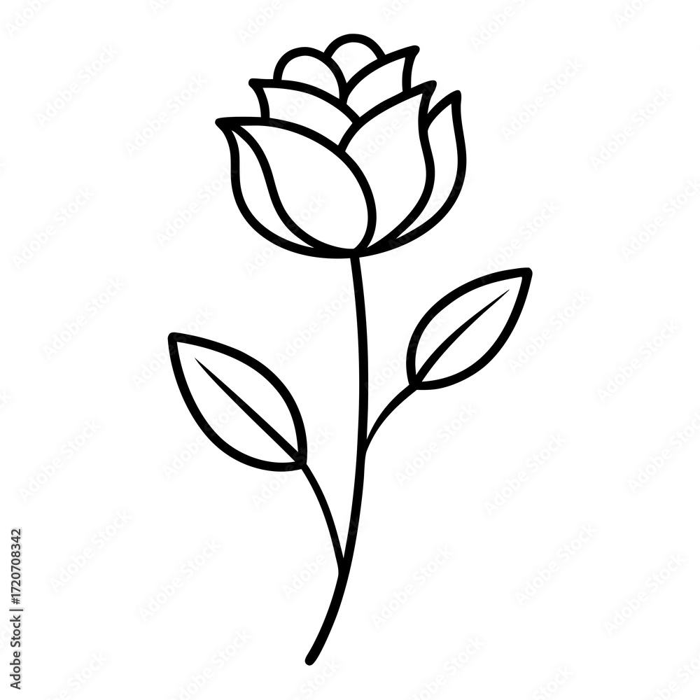 Obraz premium vector illustration of rose