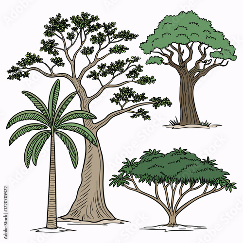 A collection of four distinct hand drawn trees including a tall palm tree a large broad leafed tree a dense bushy tree and a slender tree with sparse foliage set against a white background