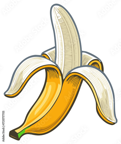 Bright Yellow Banana Fruit Opened Up Vector Art Illustration Isolated Icon Graphic, Tropical Food Concept