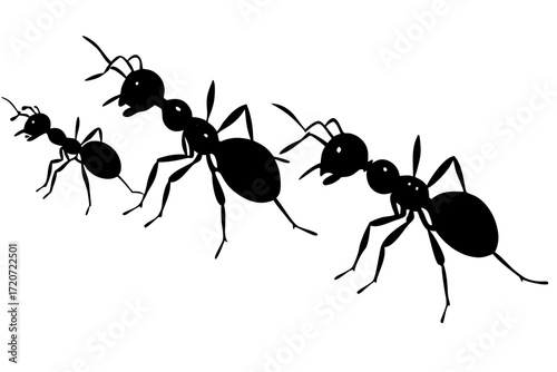 Ant colony walking silhouette vector isolated on white background