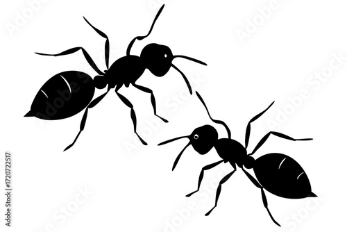 Ant colony walking silhouette vector isolated on white background