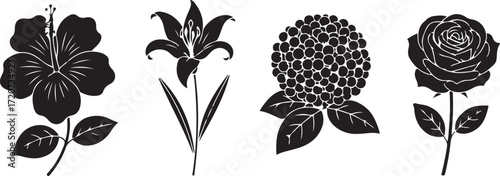 Floral Quartet Silhouette: A striking black silhouette of four unique flowers: a hibiscus, lily, hydrangea, and rose, showcasing intricate details and organic beauty.