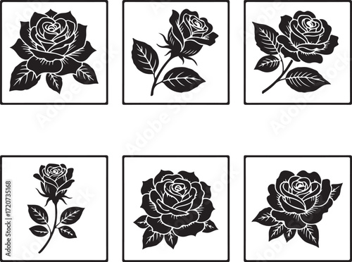 Black Rose Collection: An elegant collage showcases a selection of exquisitely detailed rose illustrations, each blooming with timeless beauty and refined elegance.