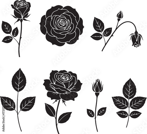 Silhouettes of Rose in Black and White: A collection of rose silhouettes, artfully rendered in stark black and white.