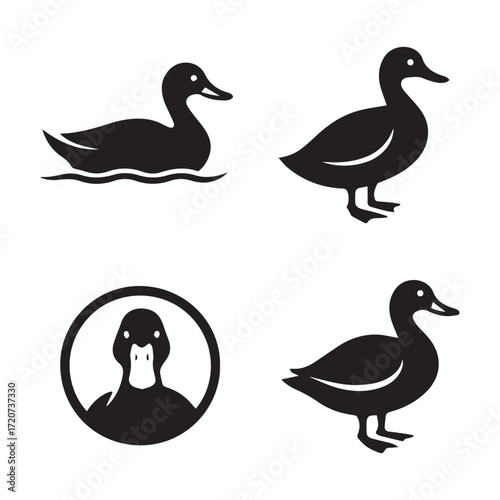 A cartoon vector illustration of a set of mallard ducks and ducklings, a farm animal family, isolated on a white background