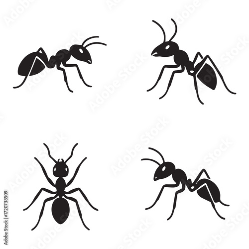 A black pest insect ant with a red head and jaw on a white background, isolated with a leg and antenna