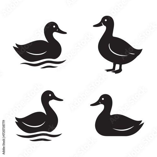 A cartoon vector illustration of a set of mallard ducks and ducklings, a farm animal family, isolated on a white background