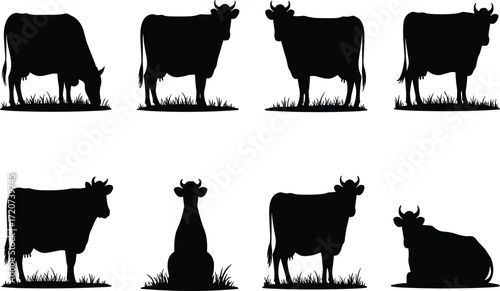 Cow silhouette set, black, grazing, standing, lying down, rear view, grass base, vector livestock posture illustration bundle
