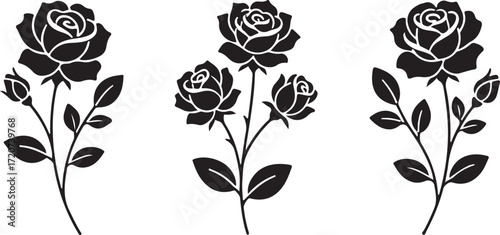 Elegant Rose Silhouette: A trio of exquisitely drawn rose illustrations grace the scene, their intricate silhouettes casting a timeless allure, ideal for elegant design applications.