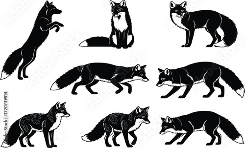 Fox illustration set, black and white, standing, sitting, walking, crouching, upright pose, vector, isolated animal behavior bundle