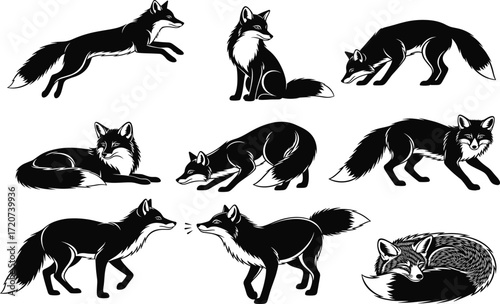 Fox illustration set, black and white, leaping, sitting, sniffing, sleeping, walking, crouching, vector, isolated animal behavior bundle