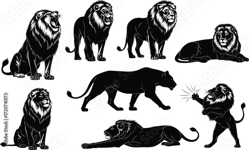 Lion illustration set, black and white, roaring, walking, sitting, stretching, lying, upright pose, vector animal posture bundle