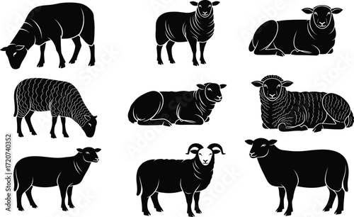 Sheep silhouette set, black, grazing, lying, standing, horned ram included, wool texture, vector, isolated farm animal posture bundle