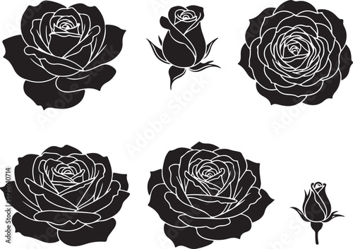 Silhouette Roses: Captivating monochrome silhouette of elegant roses and delicate rosebuds. The image radiates classic beauty and evokes a sense of serenity and understated sophistication.