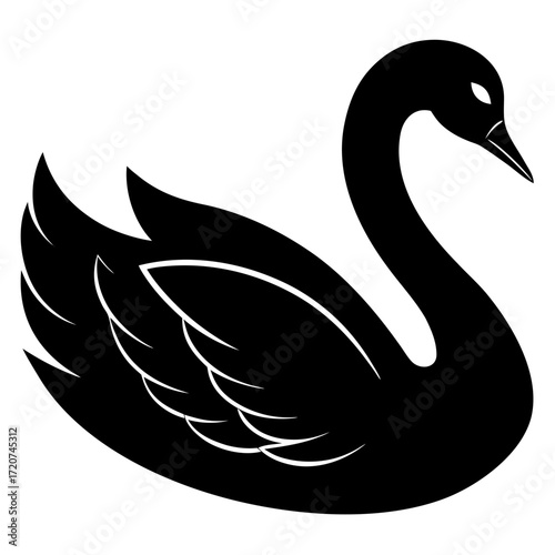 Graceful Vector of a Black Swan A Symbol of Uniqueness