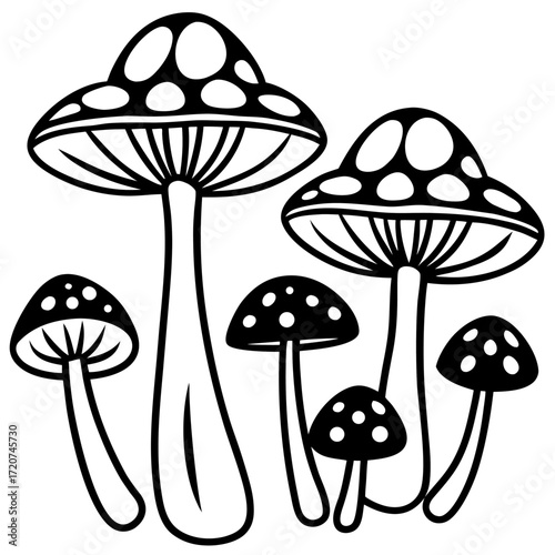 Whimsical spotted toadstool mushrooms in a black and white vector outline