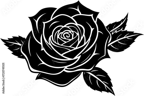 Vector art of black rose with white outline, floral design