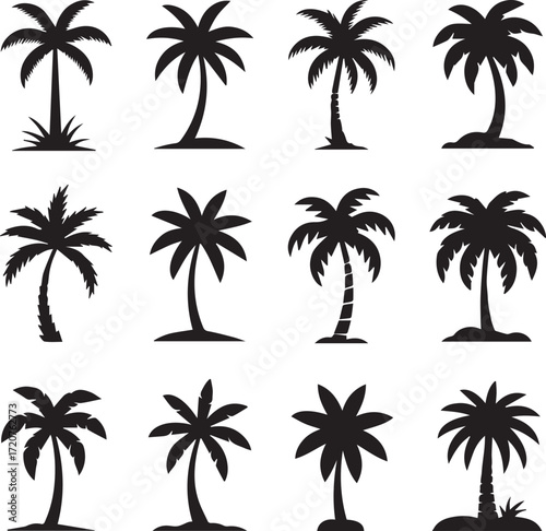 set of palms vector illustration