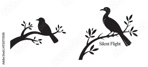 Blackbird Perched on Branch Isolated on White