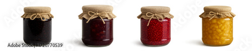 Collection of Gourmet Jams – Apple, Raspberry, Strawberry, and Currant

