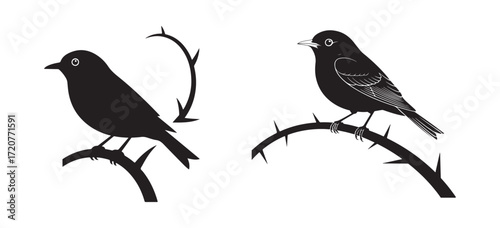 Minimalist Bird Design with Tree Branch