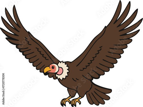 Soaring vulture with broad wings and bald head