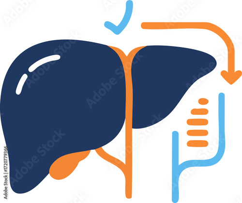 Liver with Bile Duct