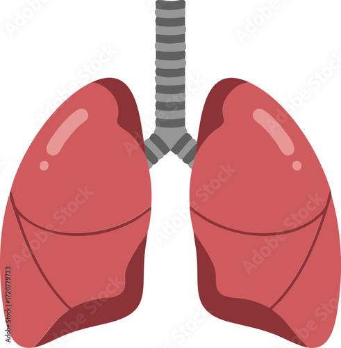 Lung Examination