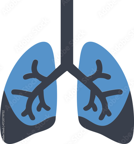 Lung Examination