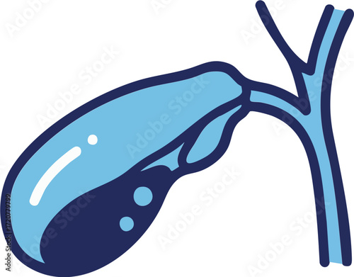 Gallbladder Organ