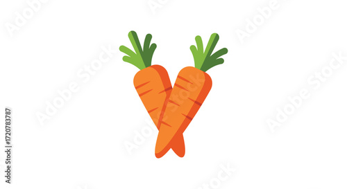 Two orange carrots with green tops ready for harvesting fresh produce healthy eating isolated on white background
