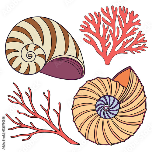 Vector art of collection of colorful seashells and coral branches
