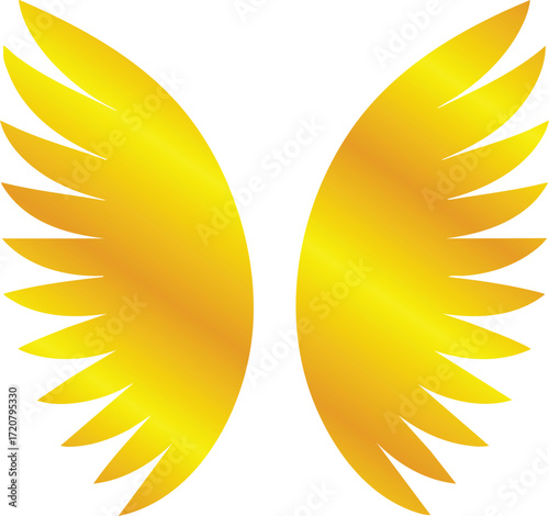 Golden Wing Designs Collection