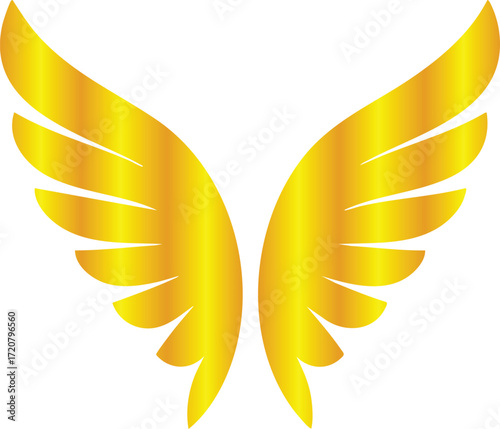 Golden Wing Designs Collection