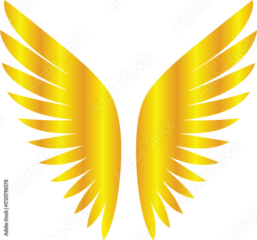 Golden Wing Designs Collection