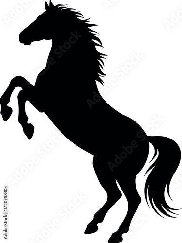 Dynamic black silhouette of a powerful rearing horse capturing strength and freedom vector