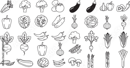 Illustration of collection of hand drawn vegetables isolated on white background