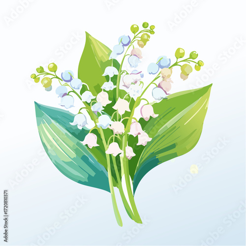 Lily of the valley
2