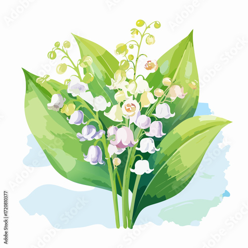 Lily of the valley
1